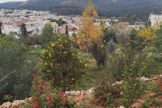 Πάρκο «ΘΕΑ Δ.Χ.», Δήμου Χαϊδαρίου